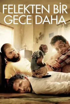 Felekten Bir Gece 2 İzle